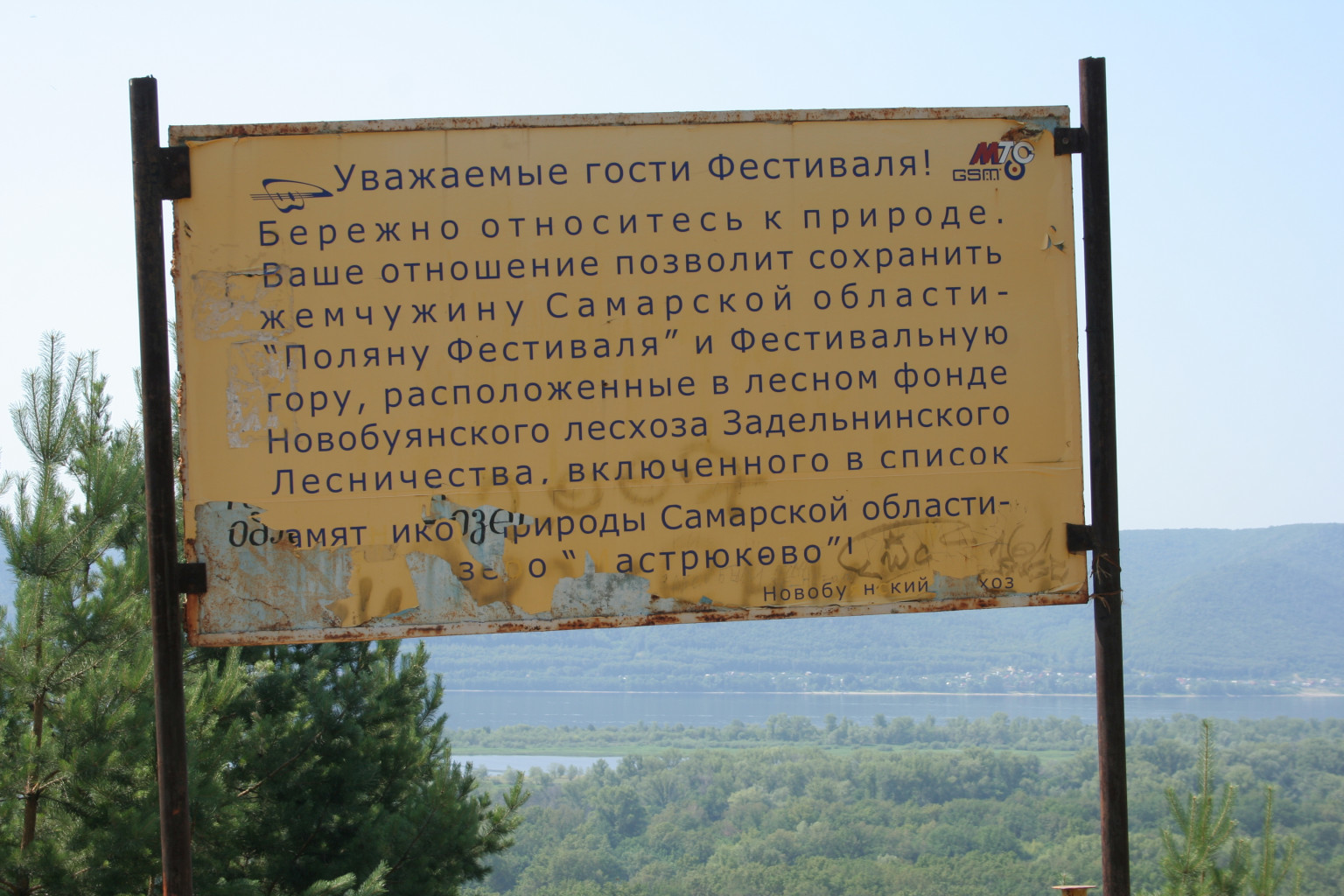 Фиби 217.JPG