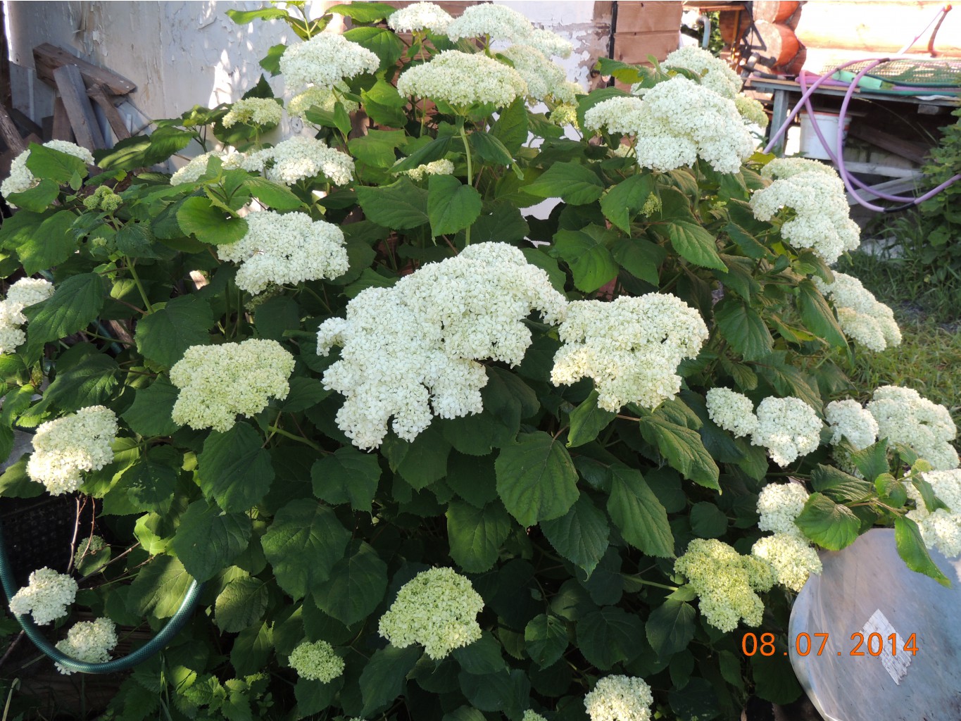 DSCN2939.jpg