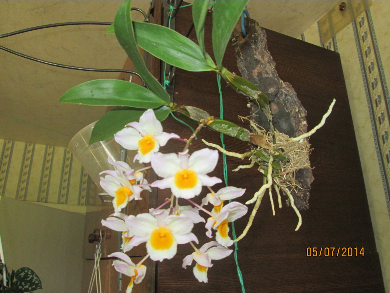 IMG_2590.JPG