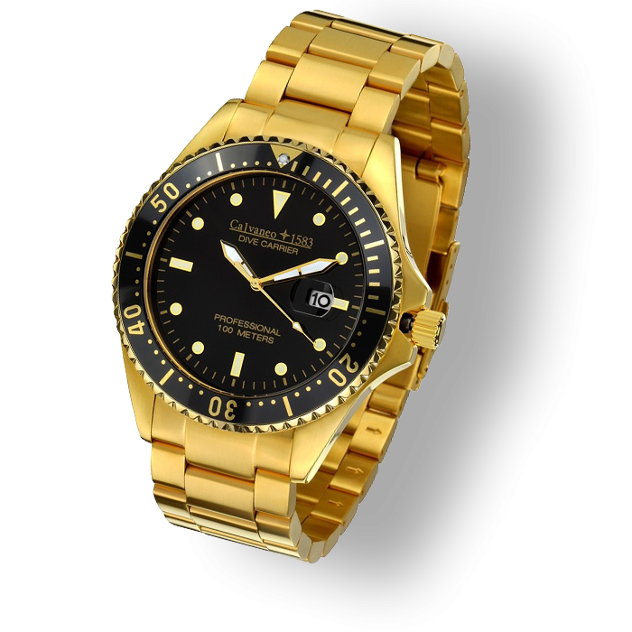 Dive Carrier Gold (Calvaneo 1583)==13900-20%== 11120 