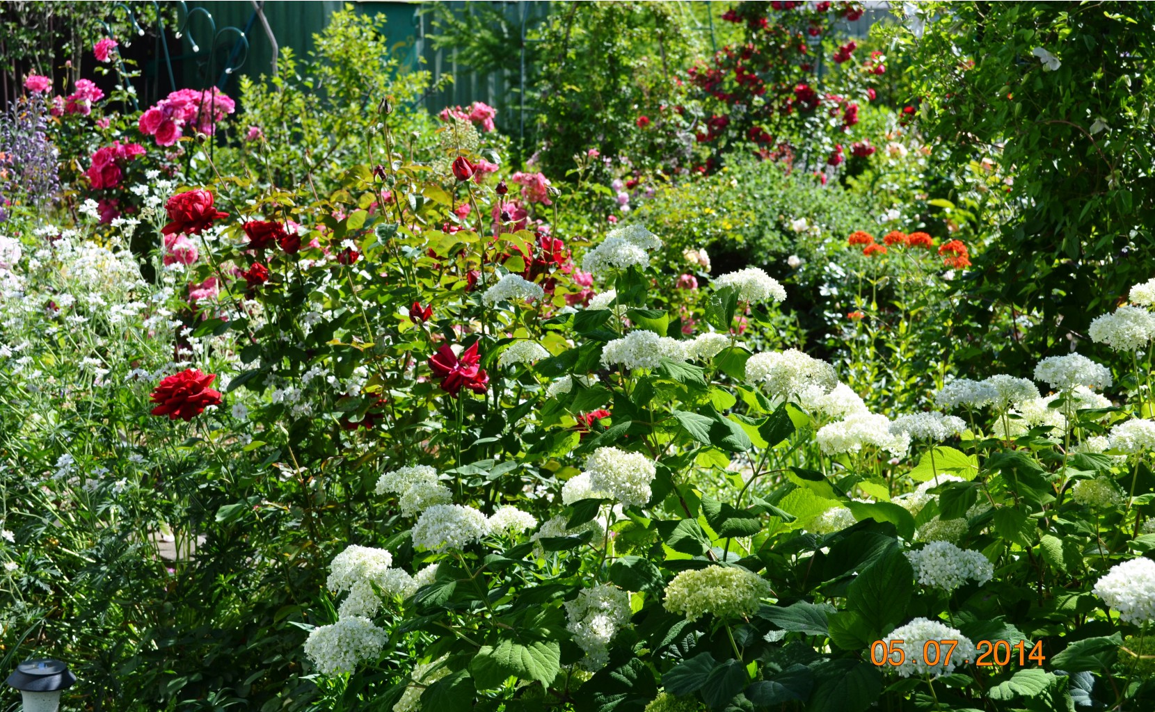 DSC_0632.JPG