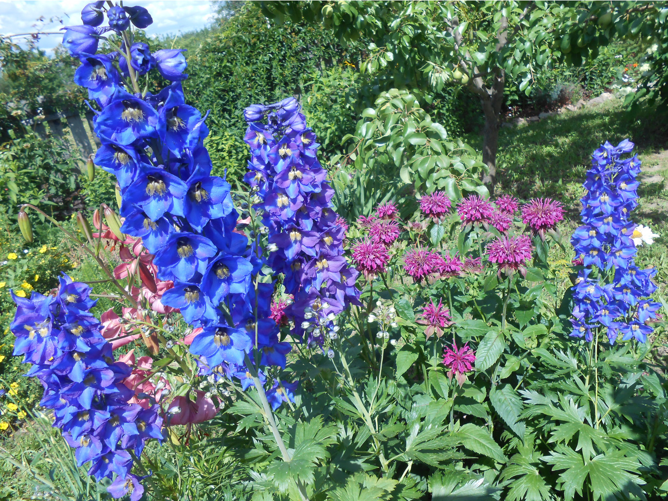 DSCN1781.JPG