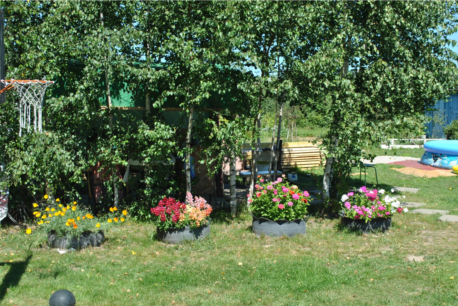 DSC_0411.JPG