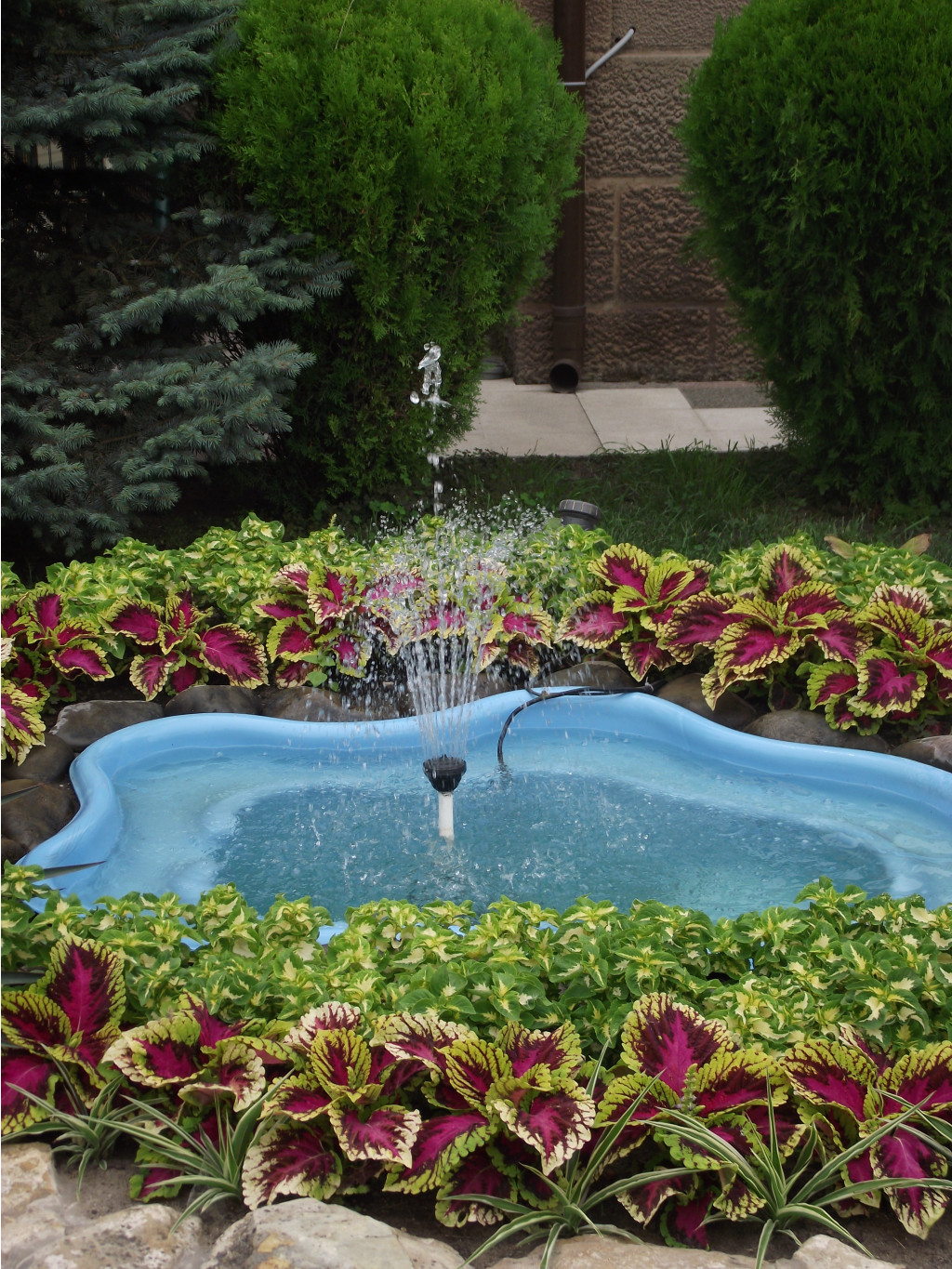 DSCF6033.JPG