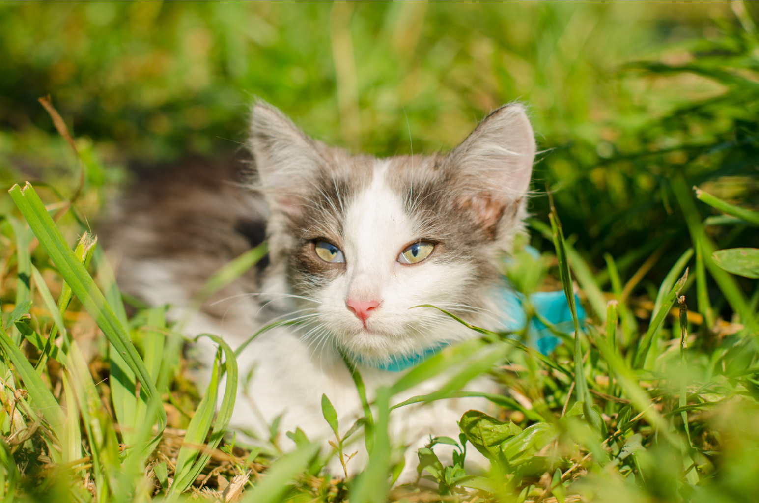 DSC_3151.jpg