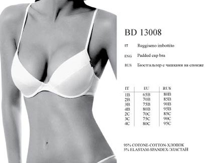 bd13008