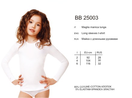 BB25003