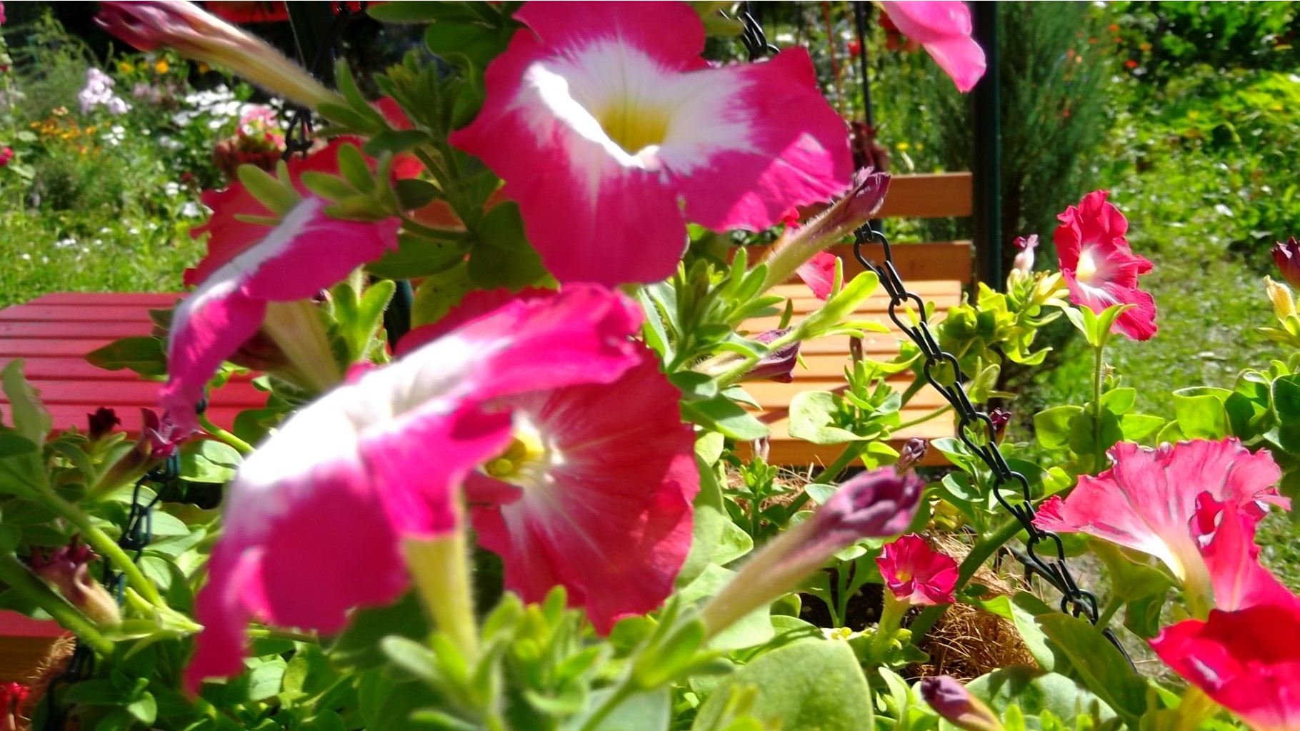 DSCF5735.JPG