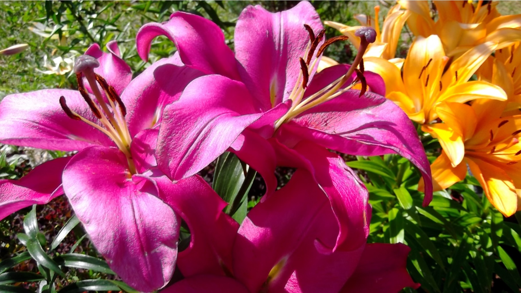 DSCF5788.JPG