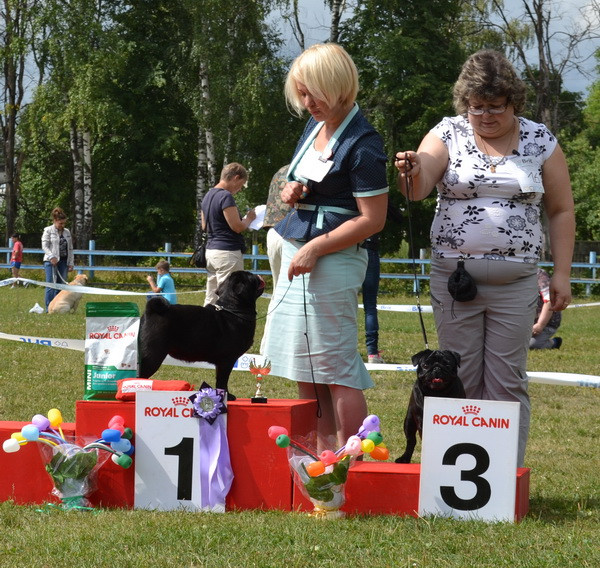 DSC_087100лс.jpg