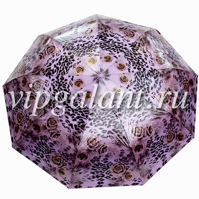 Diniya_105(2).jpg