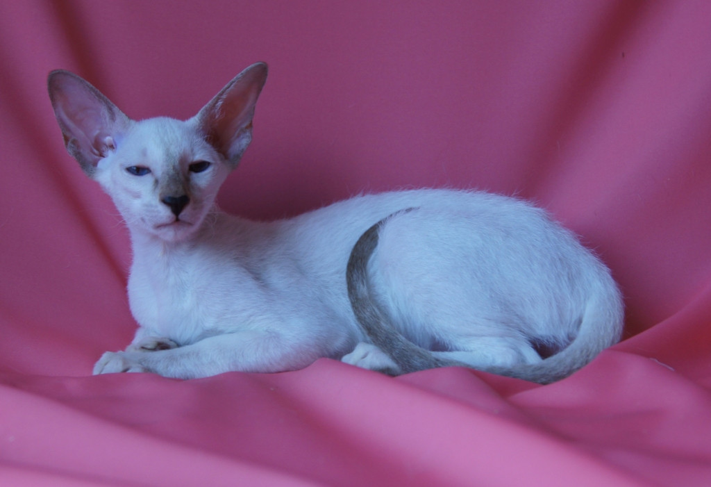 DSC07853 - .JPG
