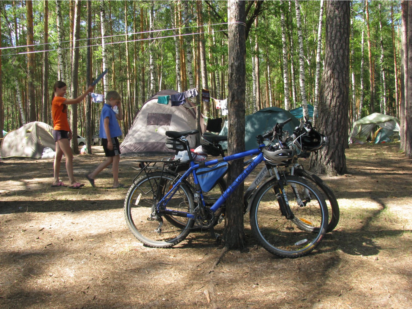 IMG_8279.JPG