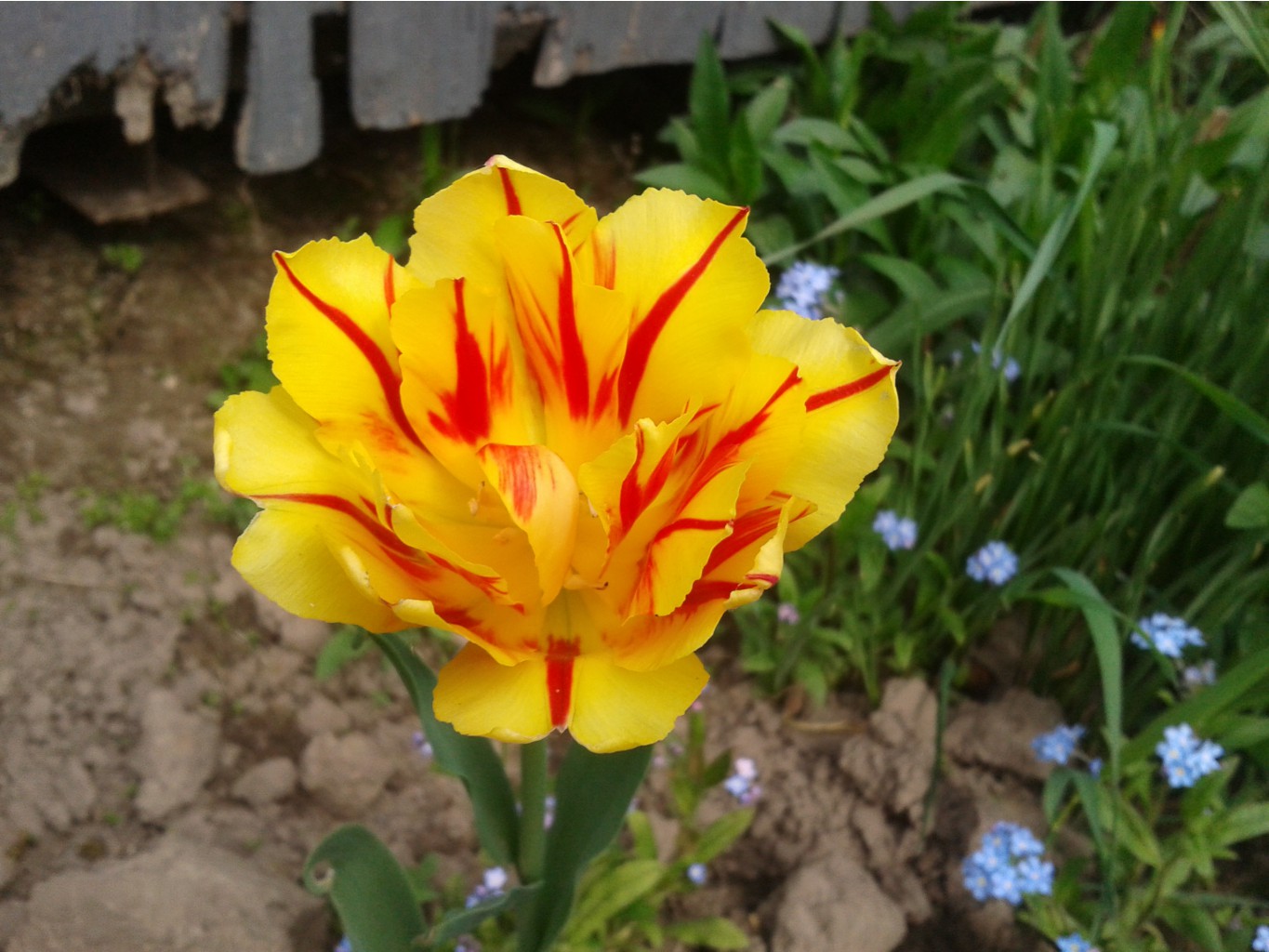 2014-05-17 10.04.47.jpg