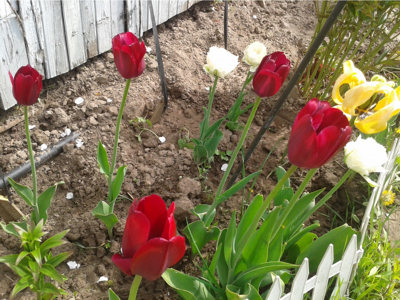 2014-05-17 10.05.45.jpg