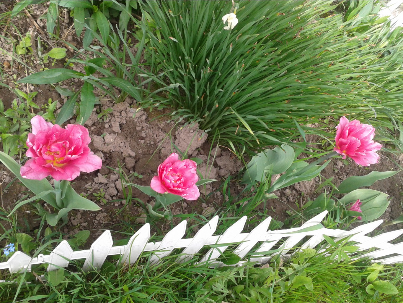 2014-05-17 10.04.18.jpg