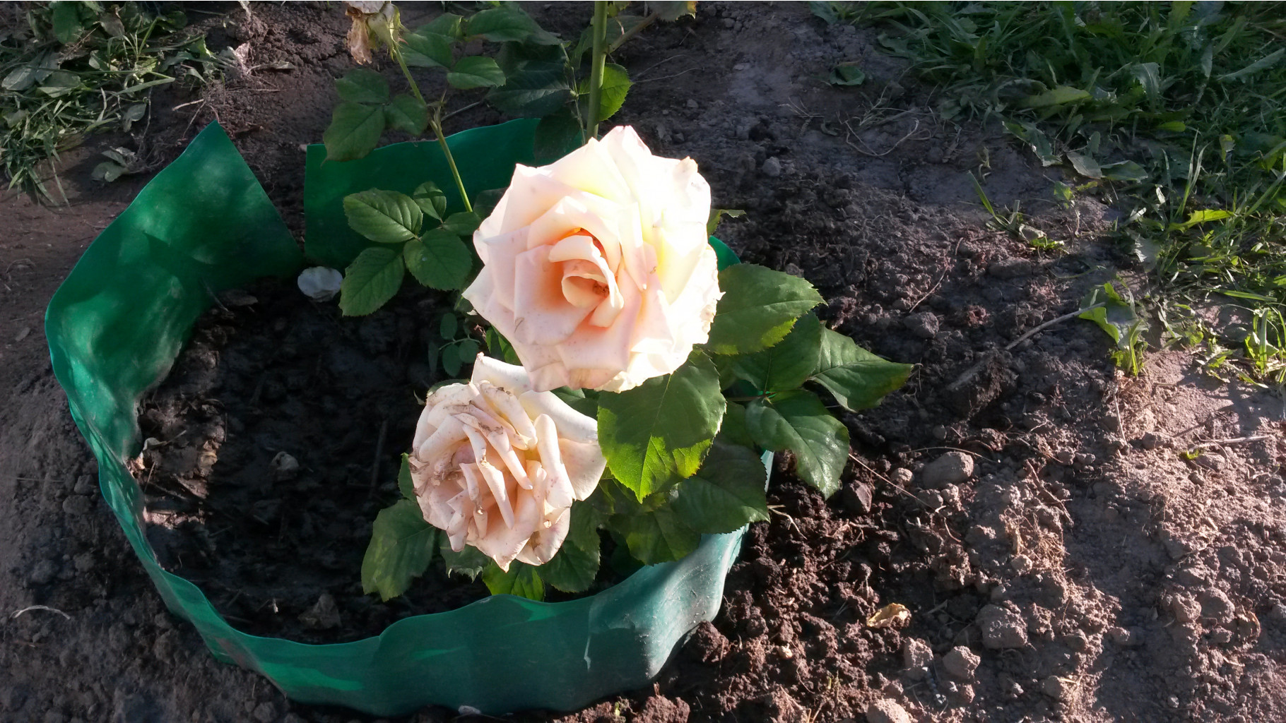 20140719_185543.jpg