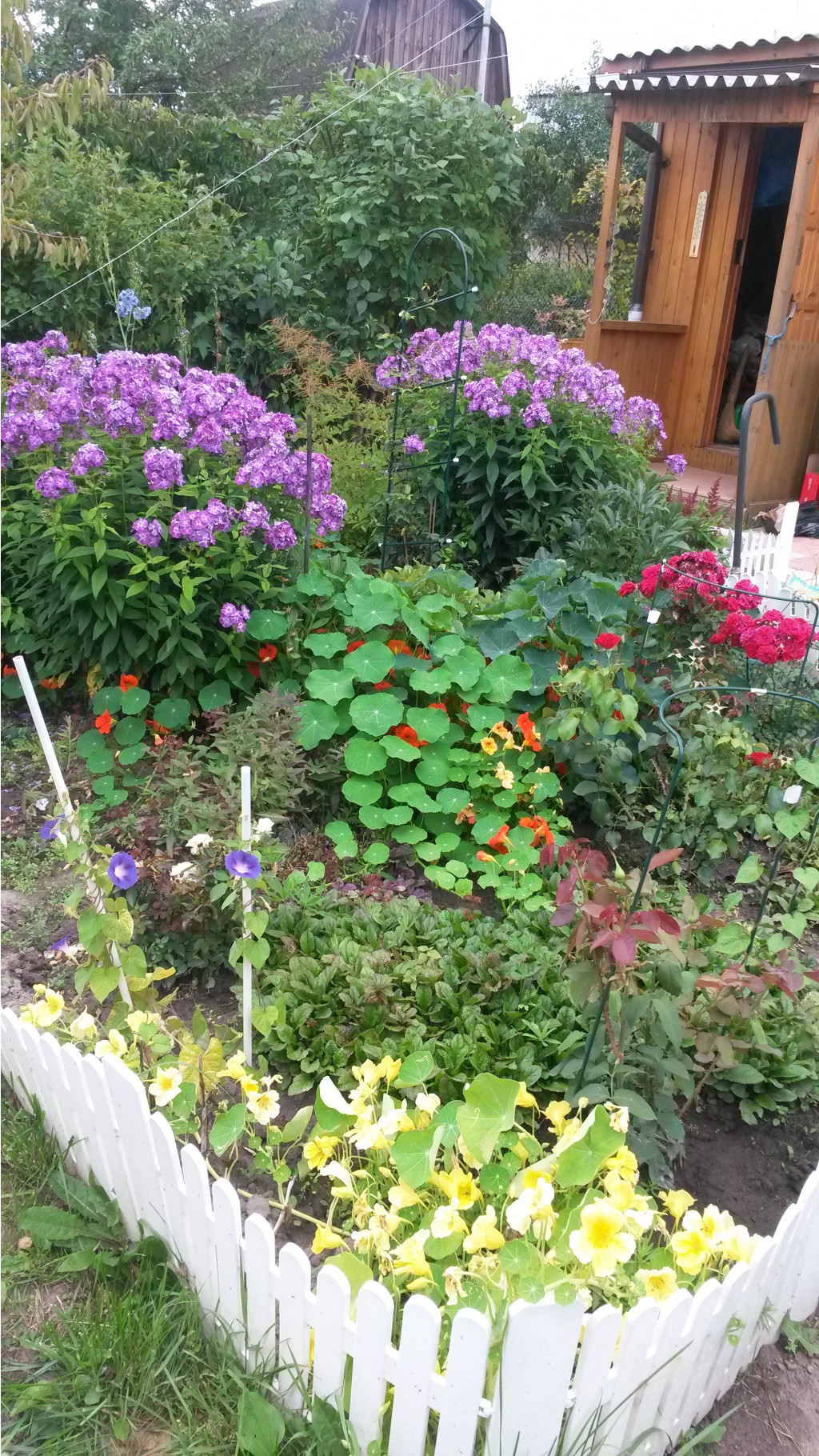20140726_110746.jpg