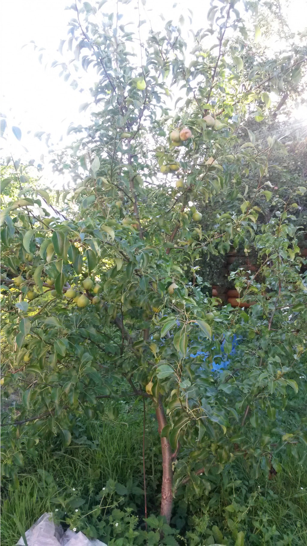 20140719_190301.jpg