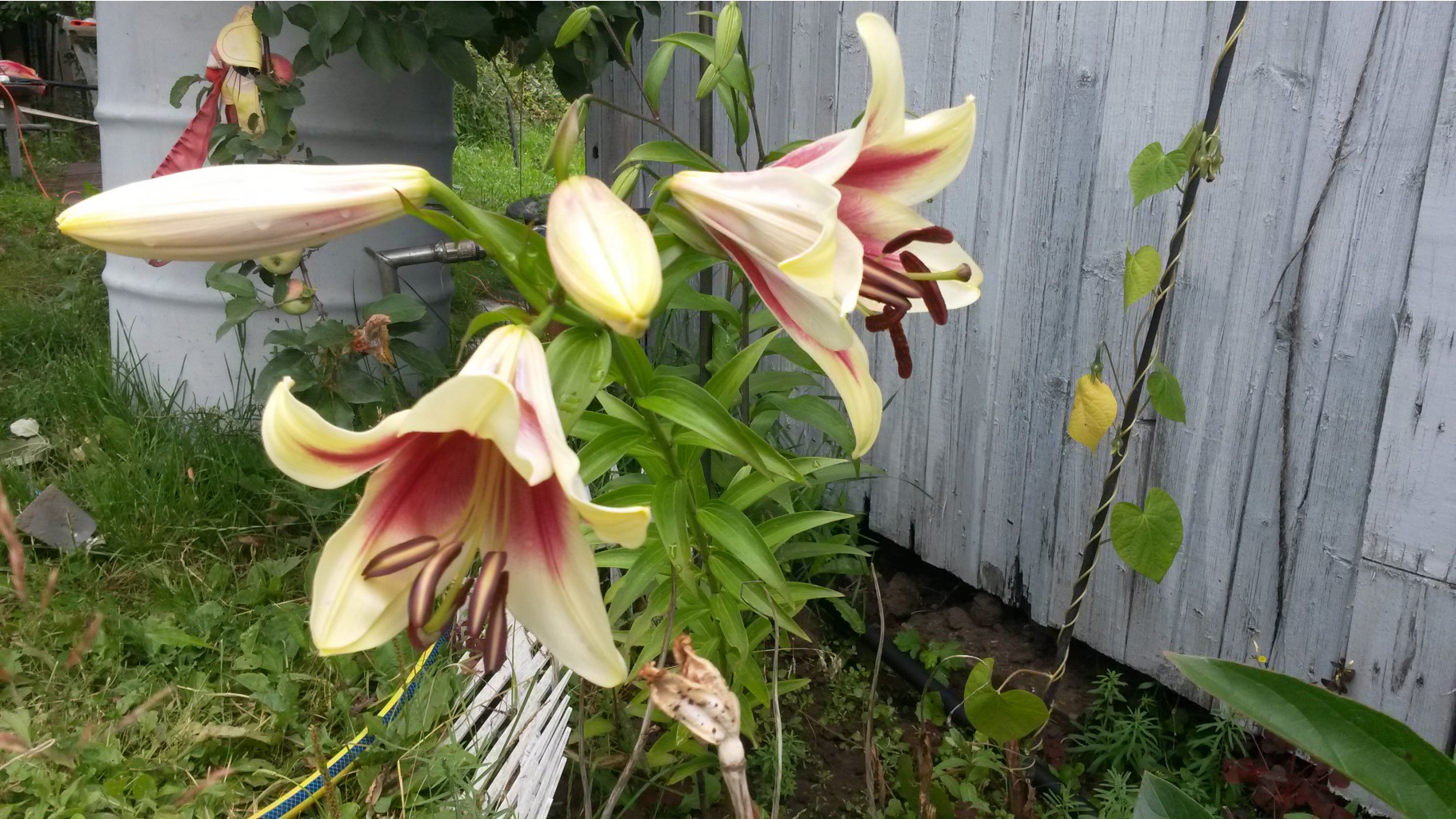 20140726_110823.jpg