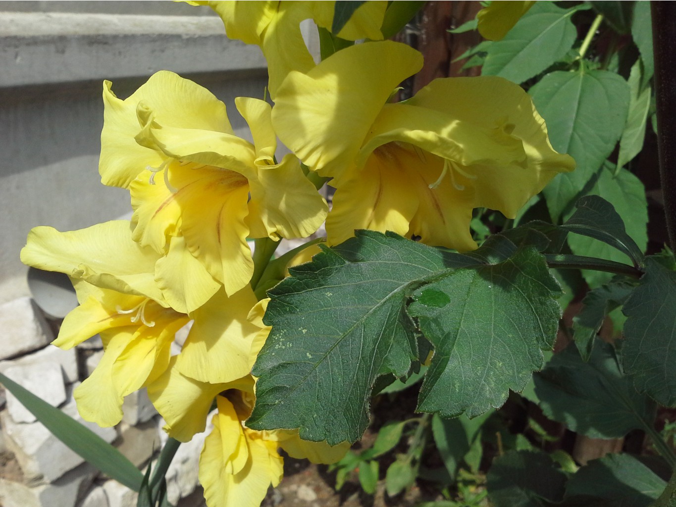 20140808_124940.jpg