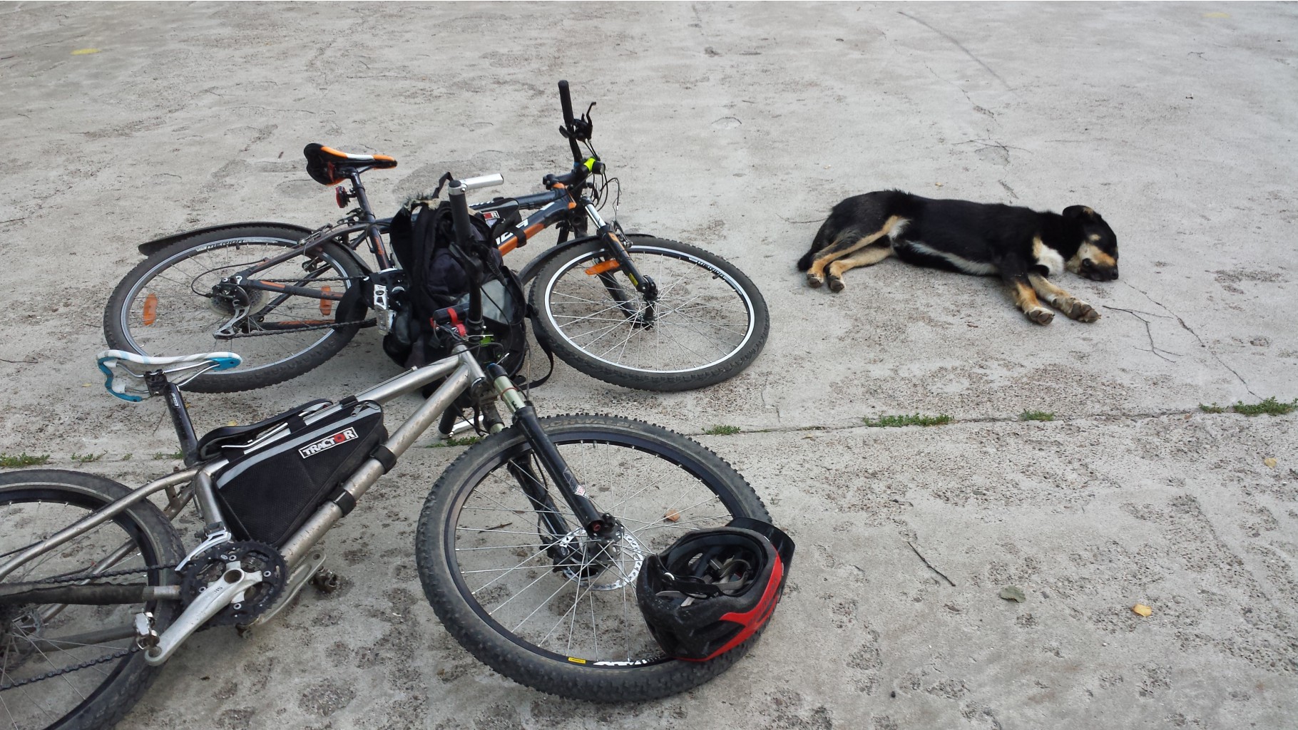 20140809_203240.jpg
