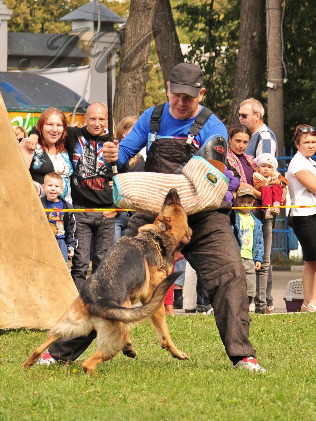 DSC_0087.JPG