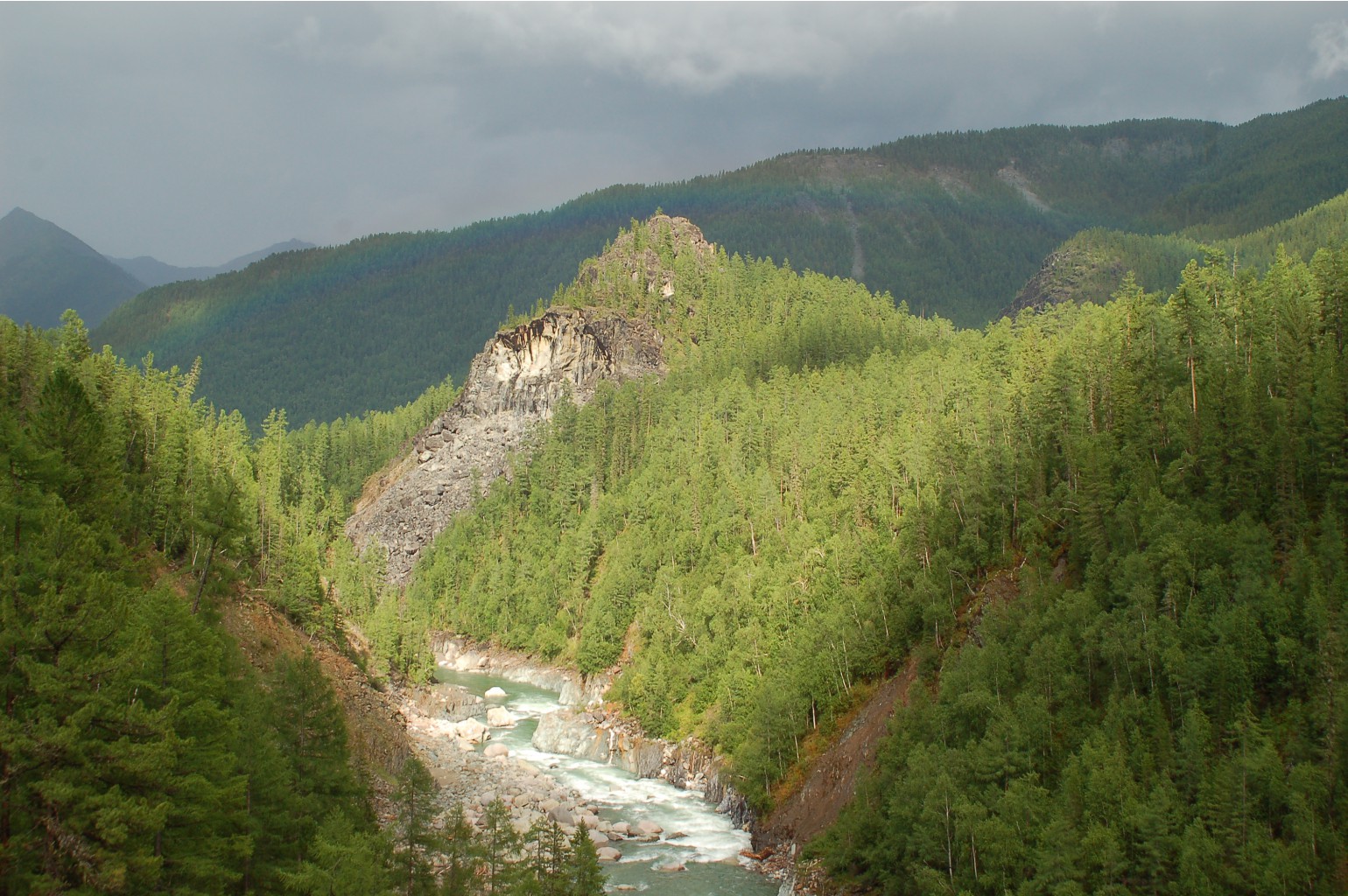 DSC_7494.JPG
