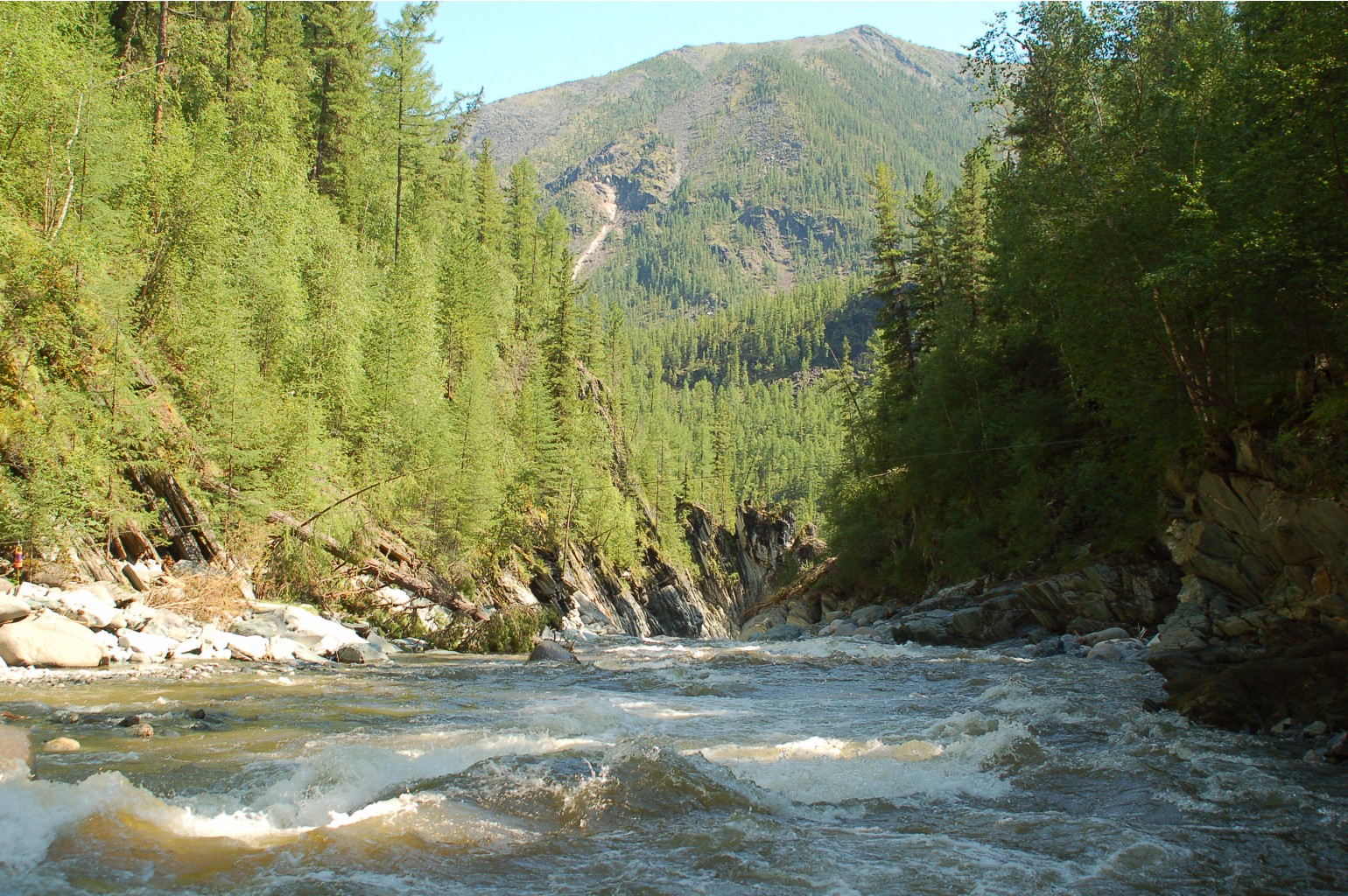 DSC_7501.JPG