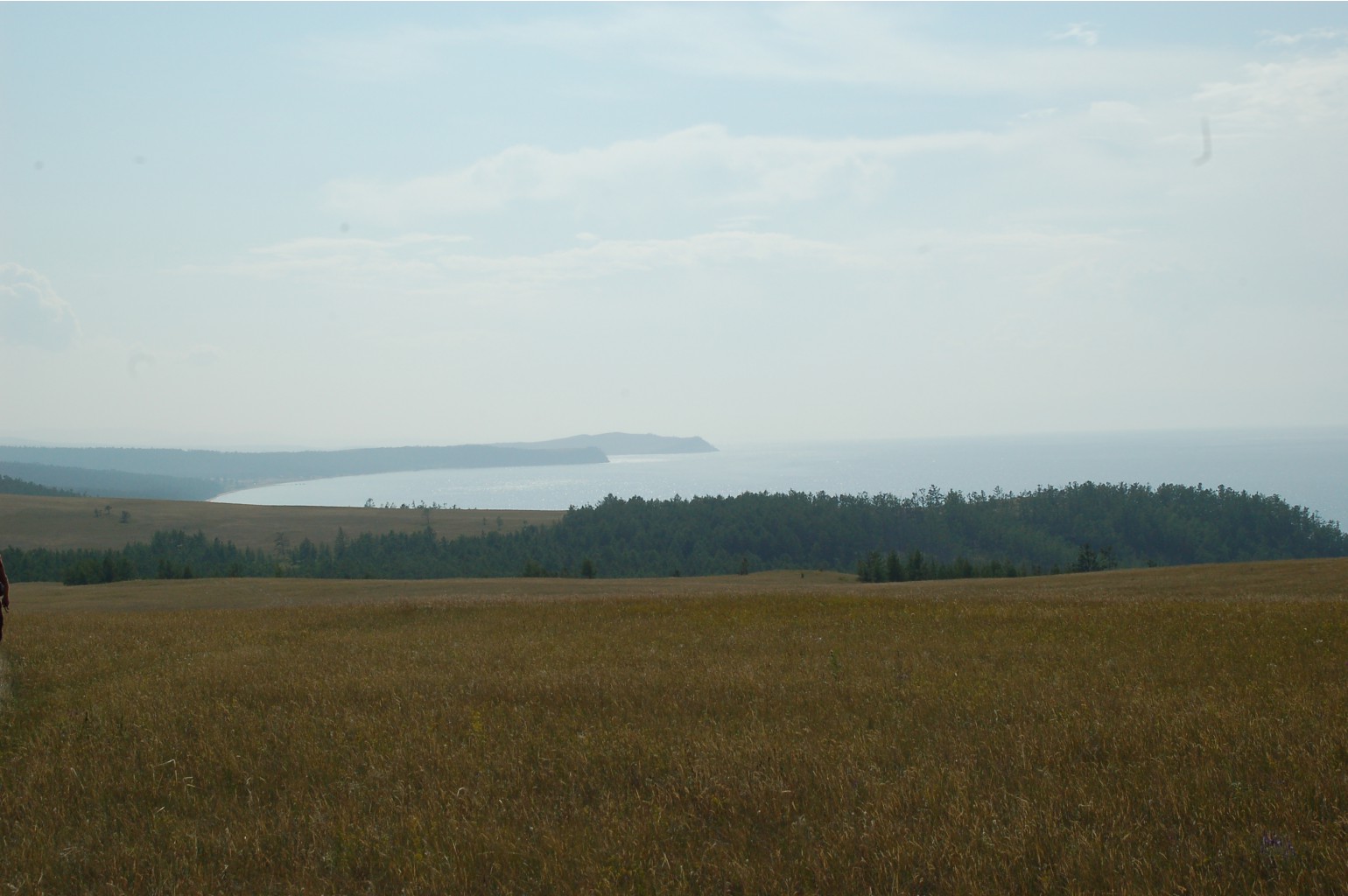 DSC_7631.JPG