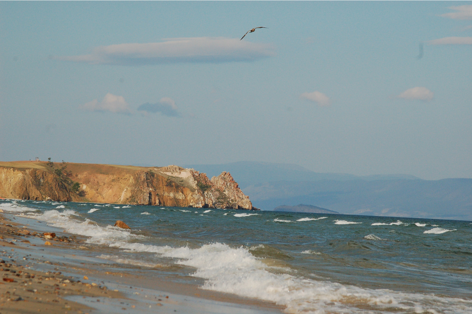 DSC_7697.JPG