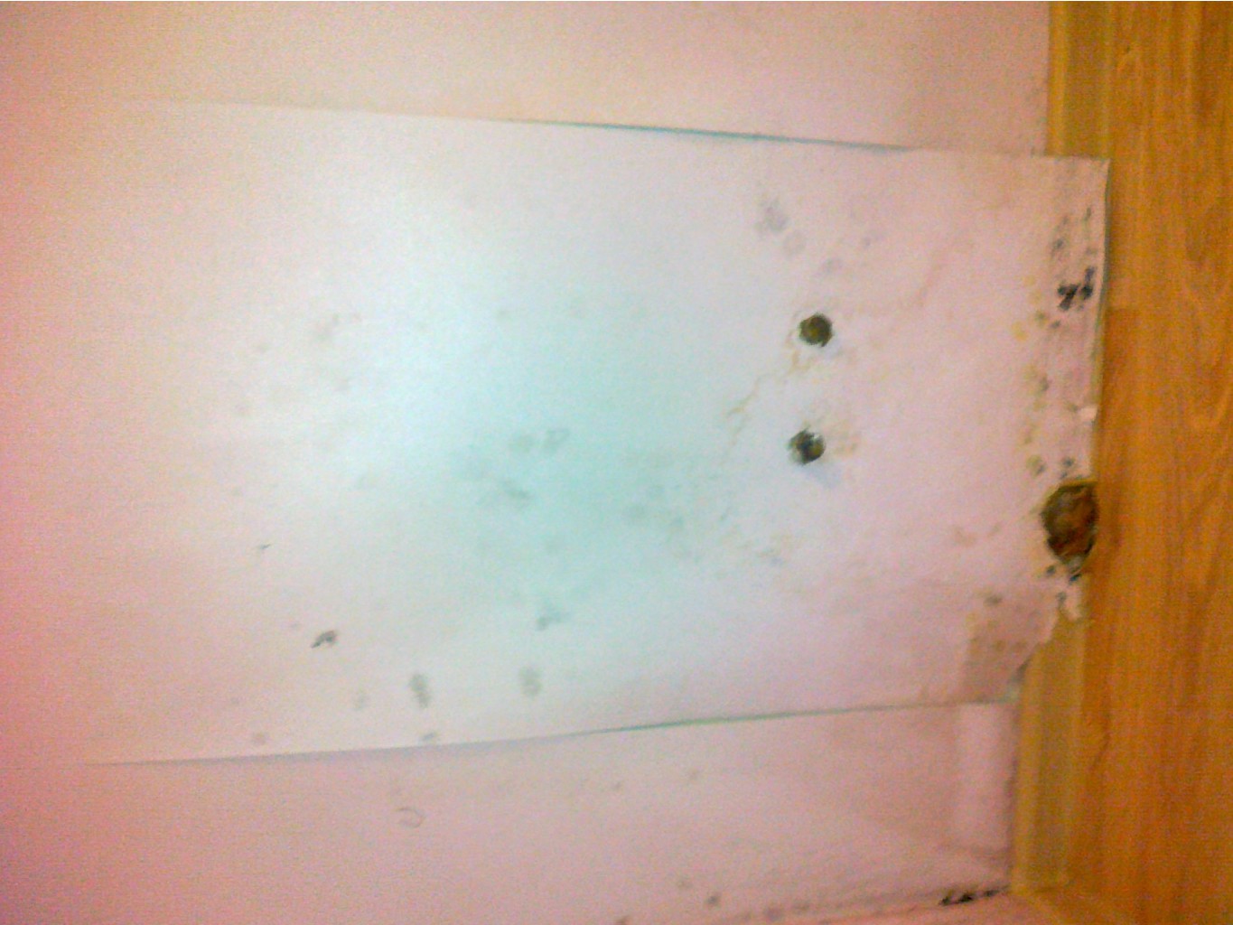 08082014491.jpg