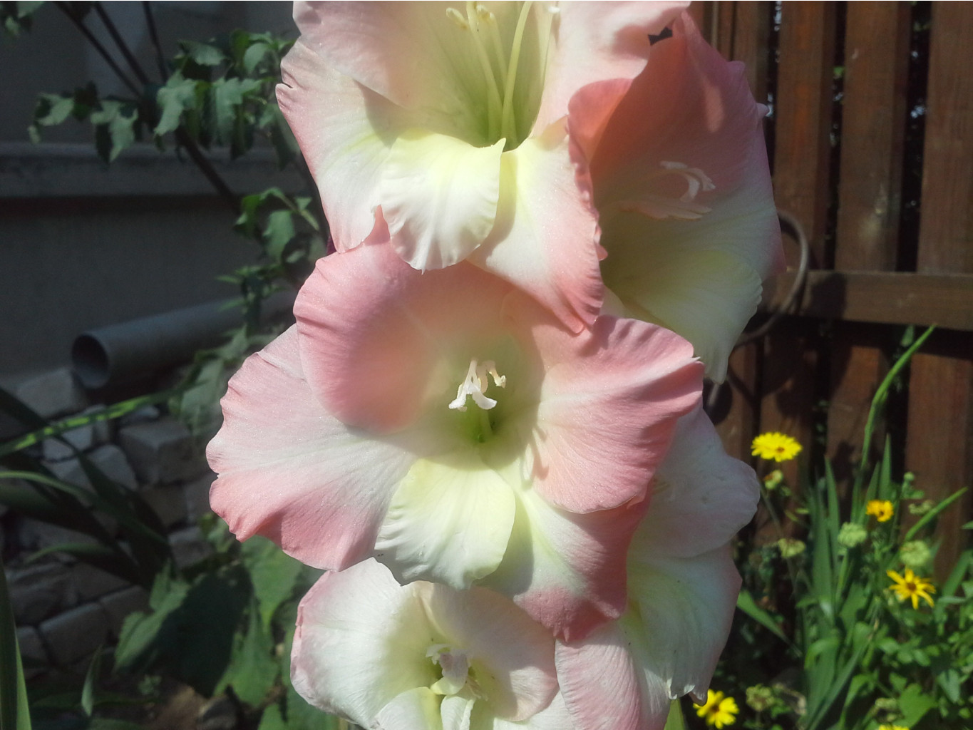 20140815_141139.jpg