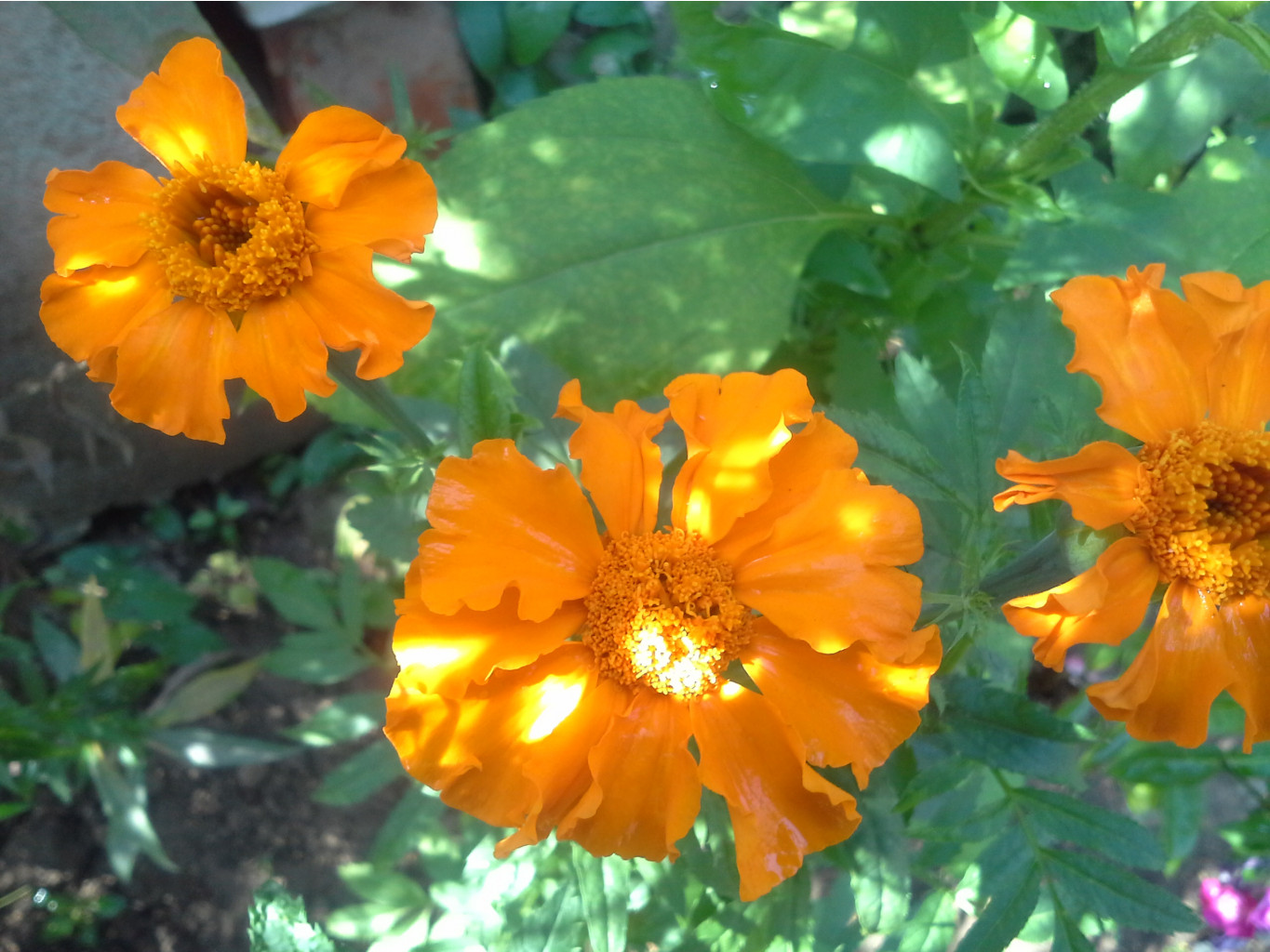 20140815_141249.jpg