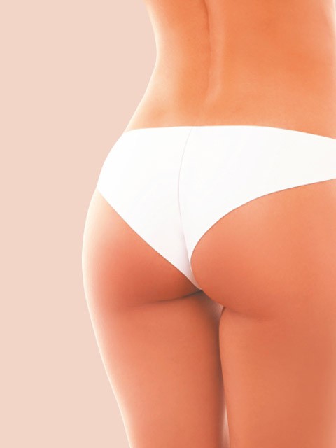 249= 019 CAMELIA BRIEF