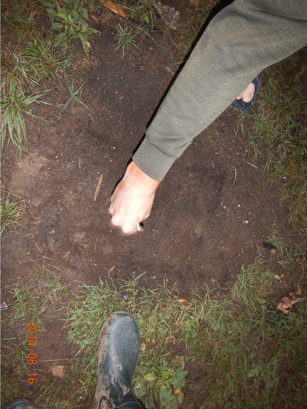 DSCN1710.JPG