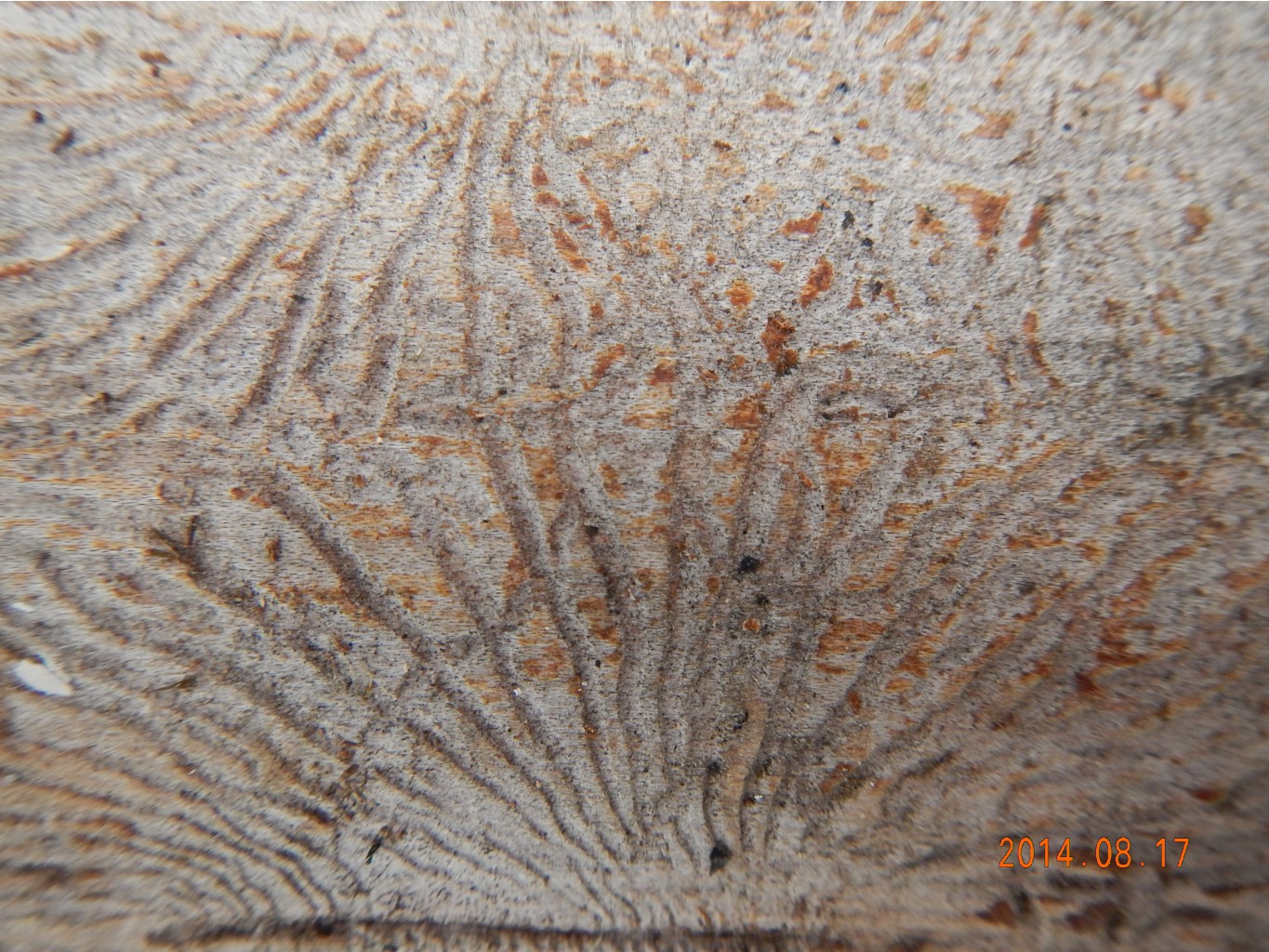 DSCN1746.JPG