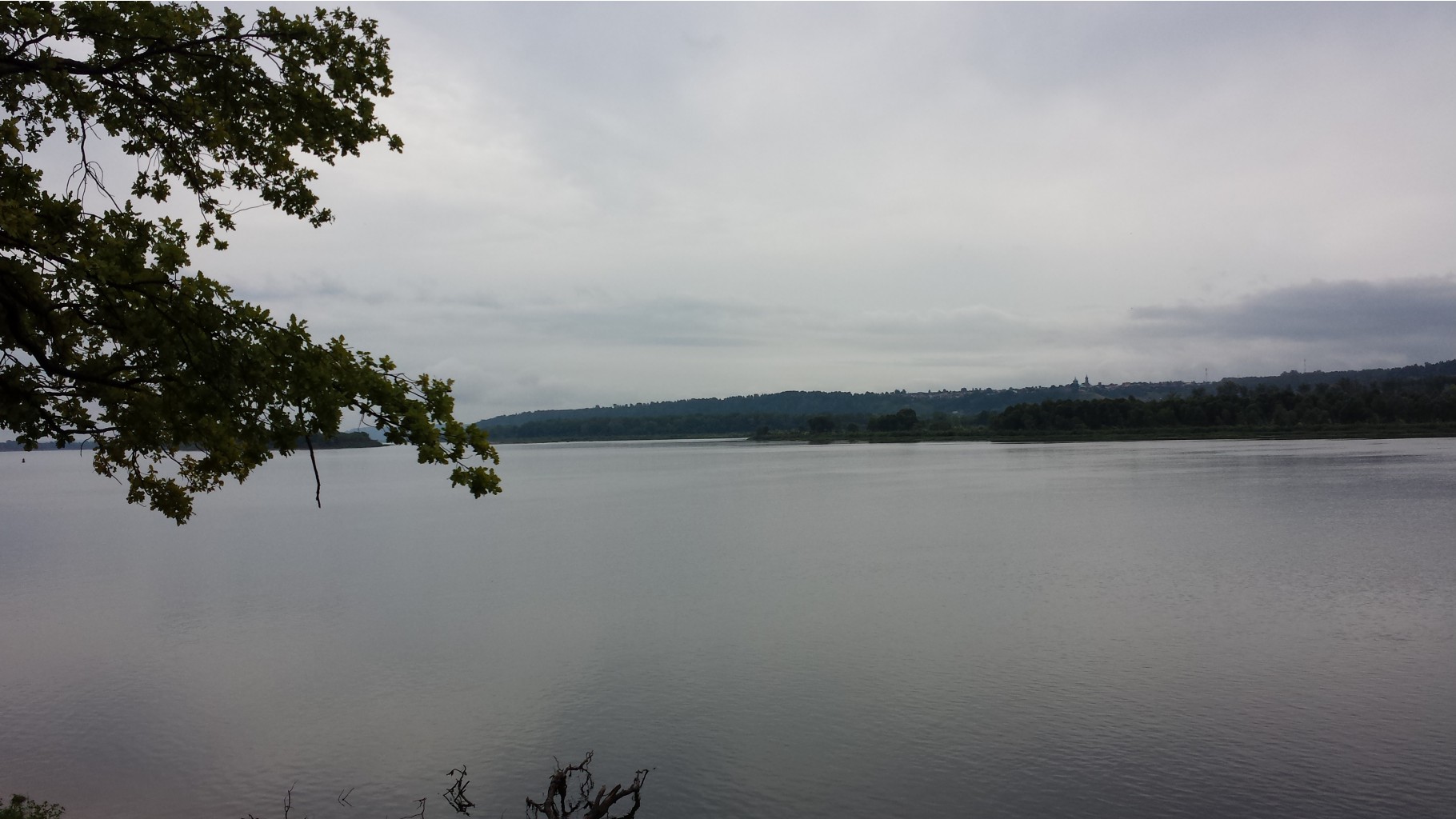 20140816_152619.jpg