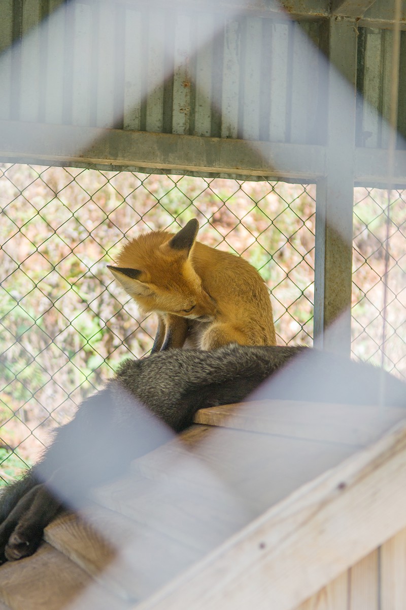 _DSC8075.jpg