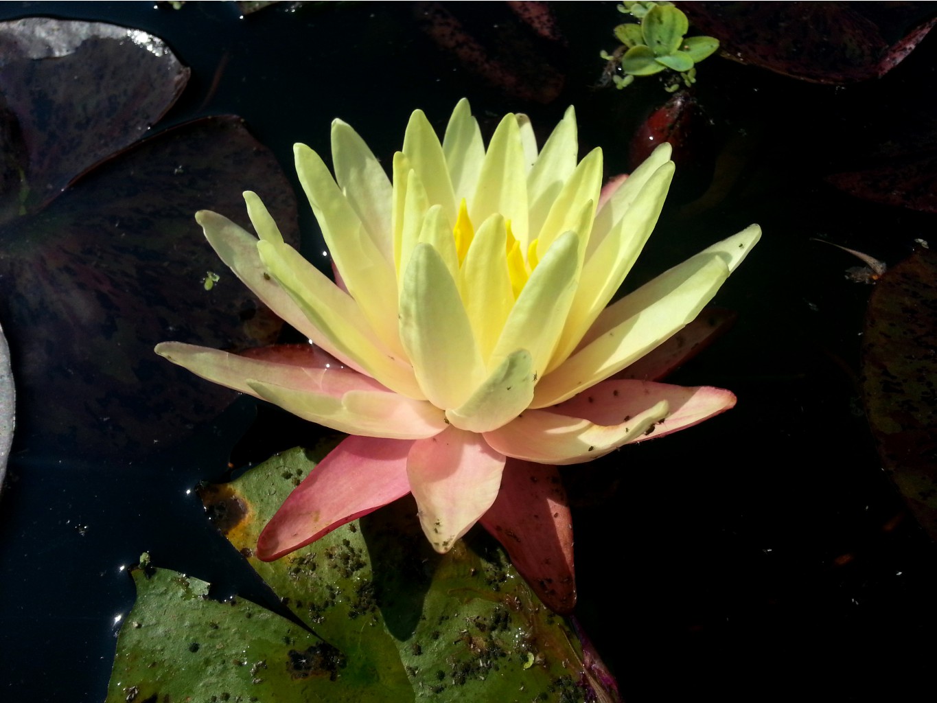 20140813_140548.jpg
