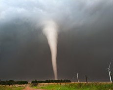 Natural Disaster.jpg