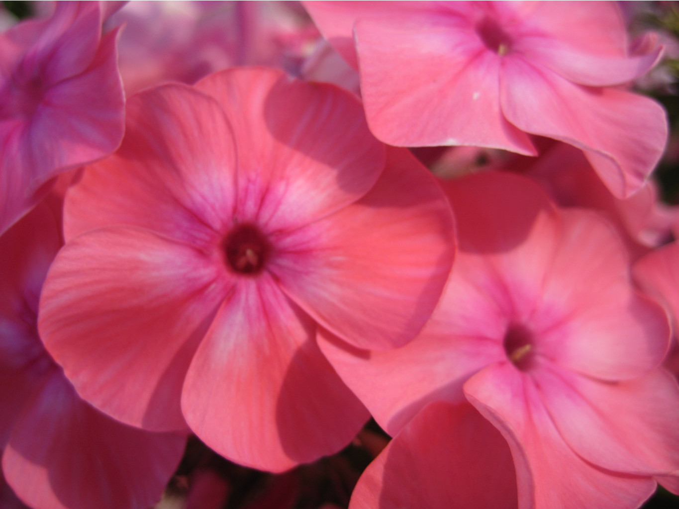 Изображение 777.jpg