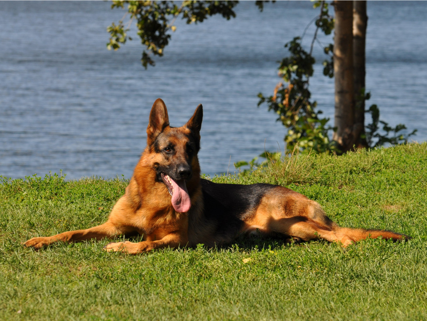 DSC_0140.jpg