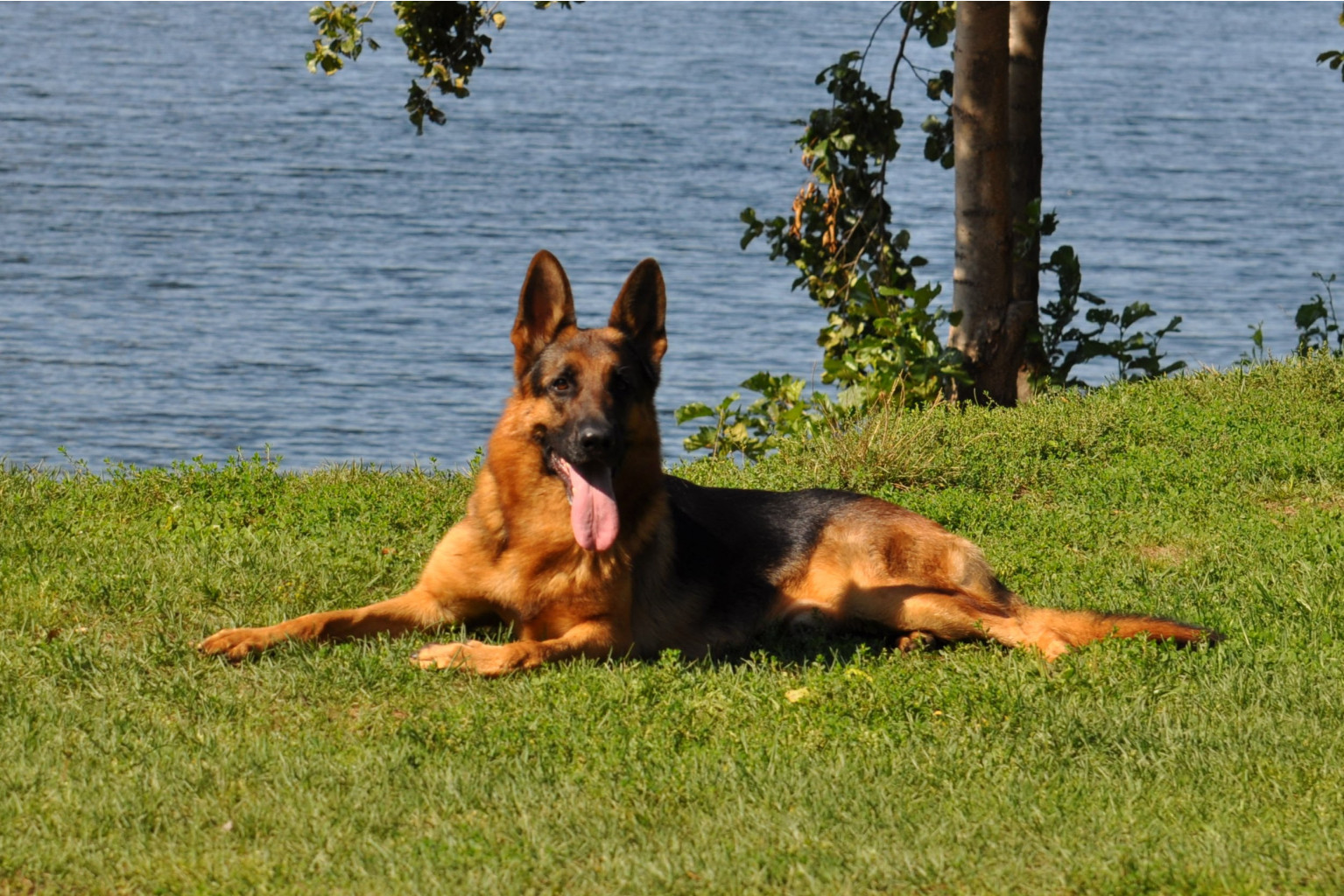 DSC_0141.jpg