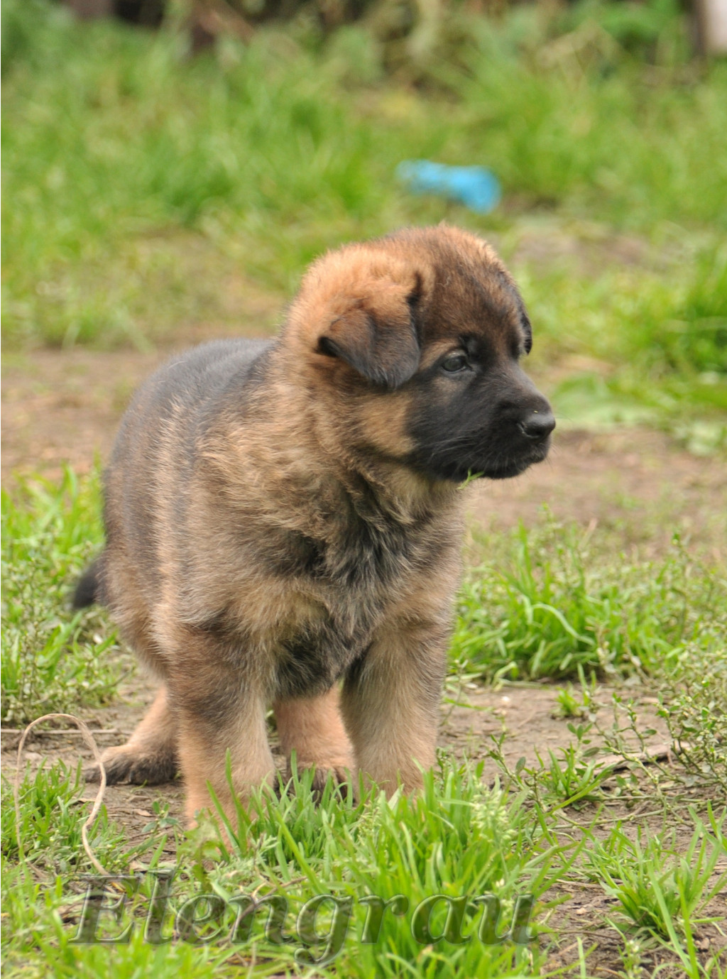 DSC_0006.JPG