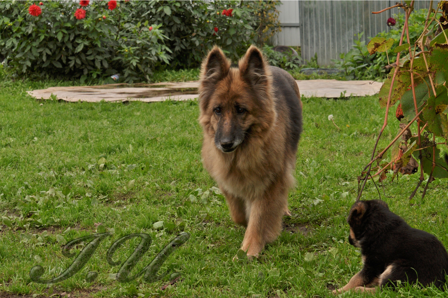 DSC_0012.JPG