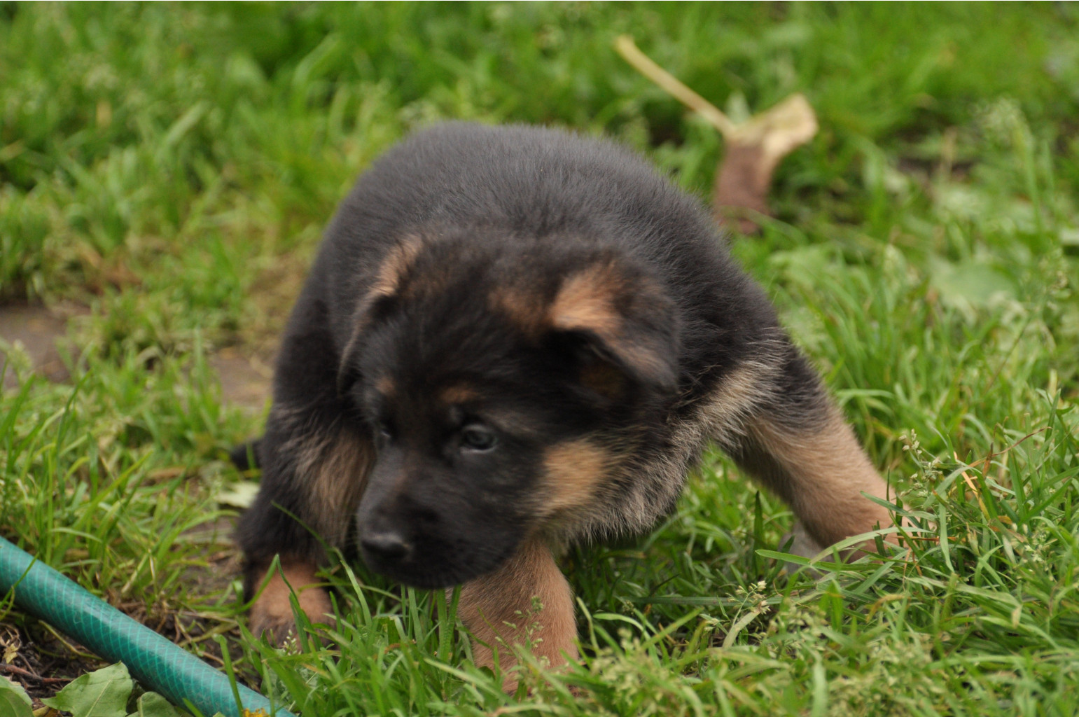 DSC_0146.JPG