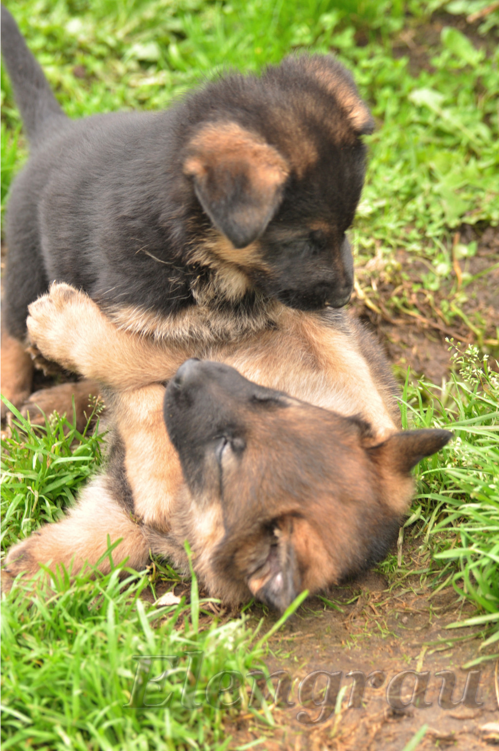 DSC_0152.JPG