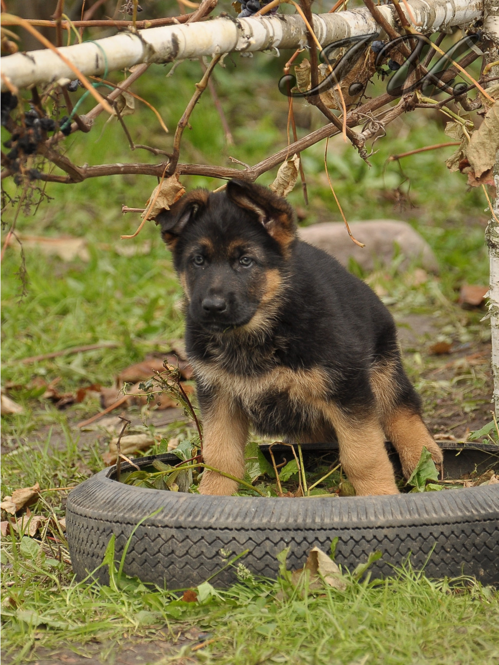 DSC_0014.JPG