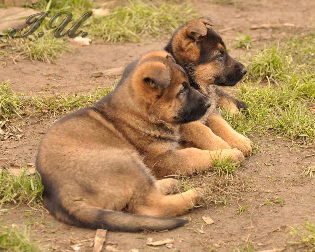 DSC_0026.JPG
